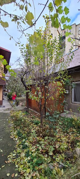 Piata Romana, Bucuresti, Sector 1.